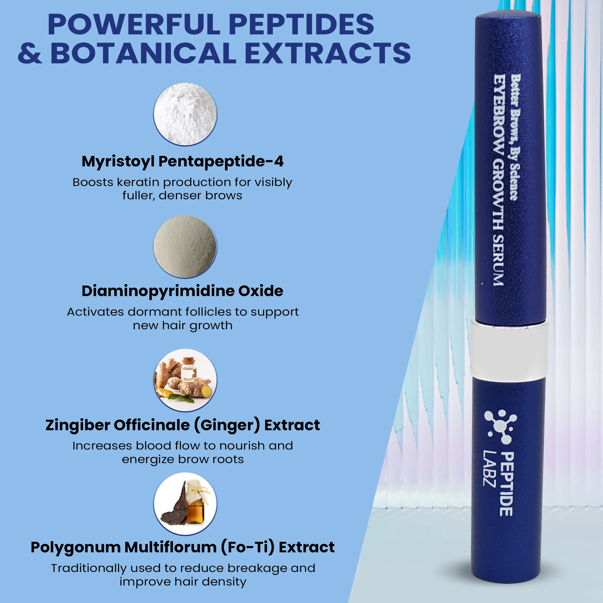 Eyebrow Growth Serum with Myristoyl Pentapeptide-4, Diaminopyrimidine Oxide & Ginger – Peptide Labz - Image 4